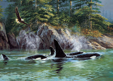 Load image into Gallery viewer, Orcas 1000-Piece Cobble Hill Puzzle