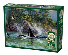Load image into Gallery viewer, Orcas 1000-Piece Cobble Hill Puzzle