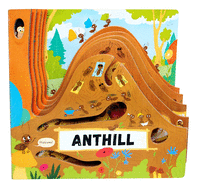 Discovering the Active World of the Anthill (Peek Inside)