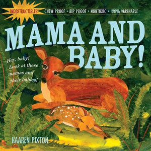 Indestructibles: Mama and Baby! : Chew Proof · Rip Proof · Nontoxic · 100% Washable (Book for Babies, Newborn Books, Safe to Chew)