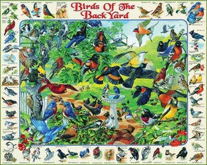 Birds of the Back Yard - White Mountain Puzzles - 1000 Piece Jigsaw Puzzle