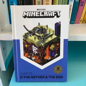 Minecraft The Nether & The End