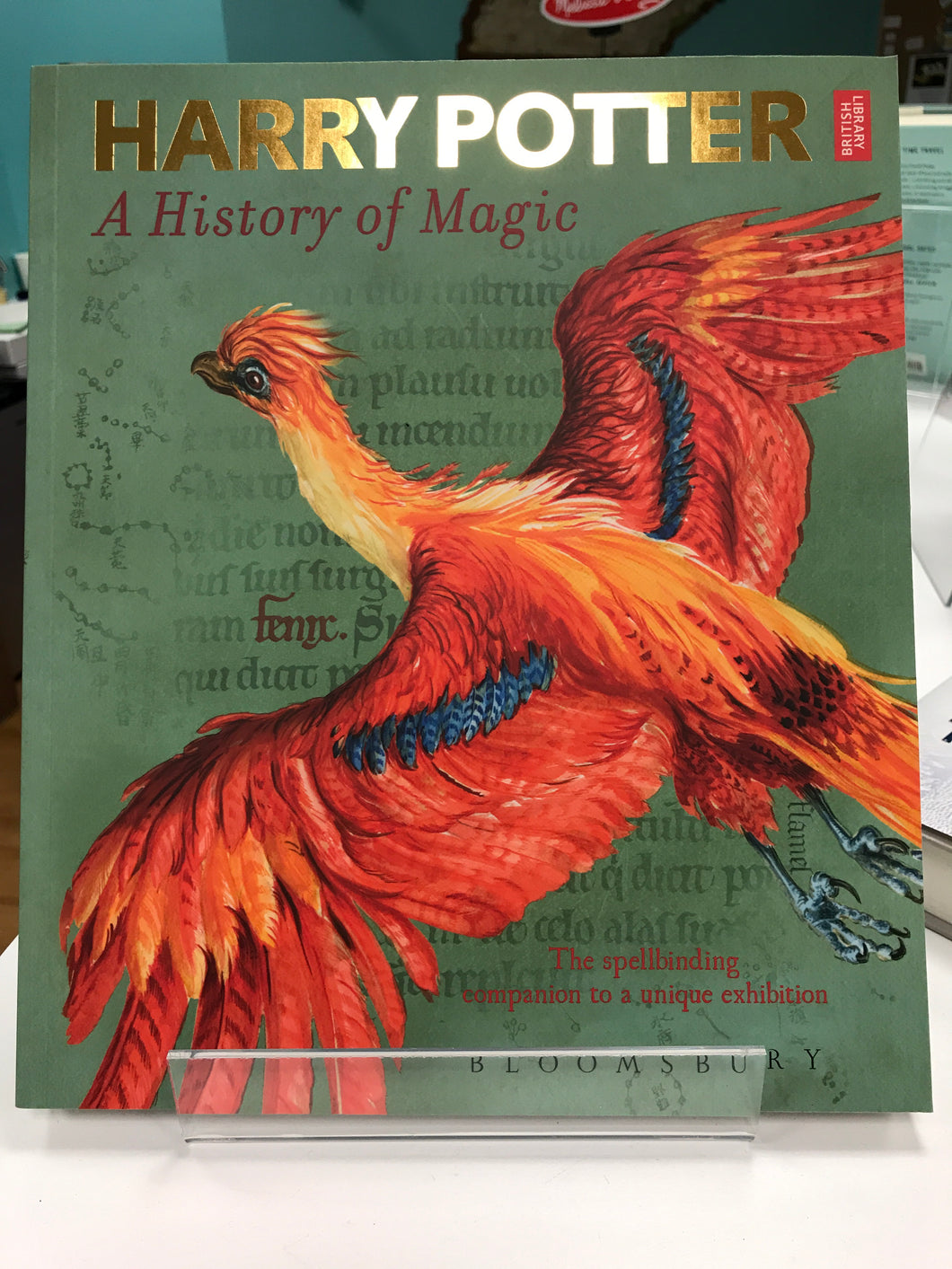 A History of Magic