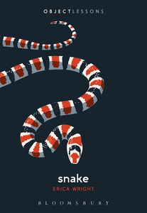 Snake ( Object Lessons )